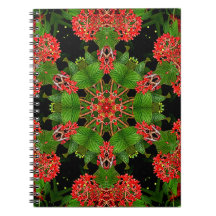 Viburnum Berries Kaleidoskop