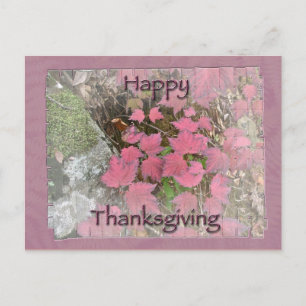 Viburnum Fall Foliage Happy Thanksgiving Items Feiertagspostkarte
