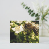 Viburnum Postkarte (Stehend Vorderseite)