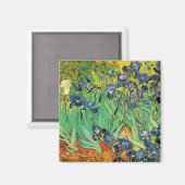 Vicent van Gogh, Ire Magnet (Vorderseite/Rückseite)