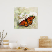 Viceroy auf den weißen Blume Poster (Küche)