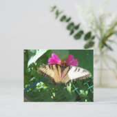 Viceroy Butterfly, 1 Postkarte (Stehend Vorderseite)