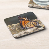 Viceroy Butterfly - 6 Packungen Untersetzer (Linke Seite)