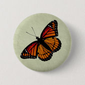 Viceroy Butterfly Button (Vorderseite)