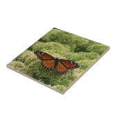 Viceroy Butterfly Schöne Naturfotografie Fliese (Seite)