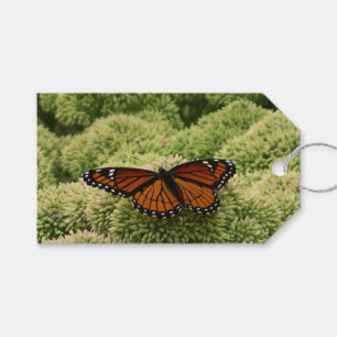 Viceroy Butterfly Schöne Naturfotografie Geschenkanhänger