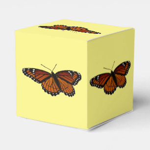Viceroy Butterfly Schöne Naturfotografie Geschenkschachtel
