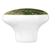 Viceroy Butterfly Schöne Naturfotografie Keramikknauf (Seitenansicht)