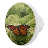 Viceroy Butterfly Schöne Naturfotografie Keramikknauf (Rechts)