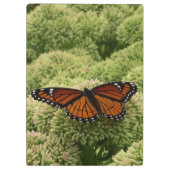 Viceroy Butterfly Schöne Naturfotografie Klemmbrett (Rückseite)