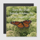 Viceroy Butterfly Schöne Naturfotografie Magnetkarte (Vorne/Hinten)