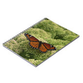 Viceroy Butterfly Schöne Naturfotografie Notizblock (Linke Seite)