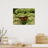 Viceroy Butterfly Schöne Naturfotografie Poster (Küche)