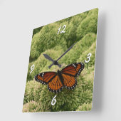 Viceroy Butterfly Schöne Naturfotografie Quadratische Wanduhr (Winkel)