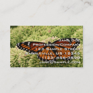 Viceroy Butterfly Schöne Naturfotografie Visitenkarte