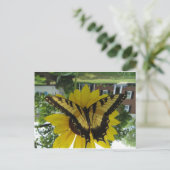 Viceroy Butterlfy Postkarte (Stehend Vorderseite)