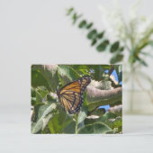 Viceroy-Schmetterling Postkarte (Stehend Vorderseite)