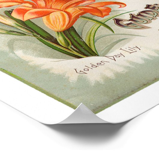 Vick's Garden & Blume 1898 Poster (Ecke)