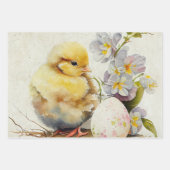 Vicotrian Ostersonne & Chick Geschenkpapier Set (Vorderseite 2)