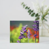 Victoria Blues Postcard Postkarte (Stehend Vorderseite)