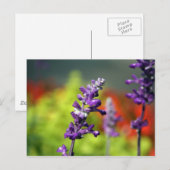 Victoria Blues Postcard Postkarte (Vorne/Hinten)