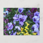 Victoria Blume Postkarte (Vorderseite)