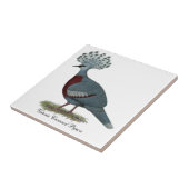 Victoria Crowned Pigeon Fliese (Seite)
