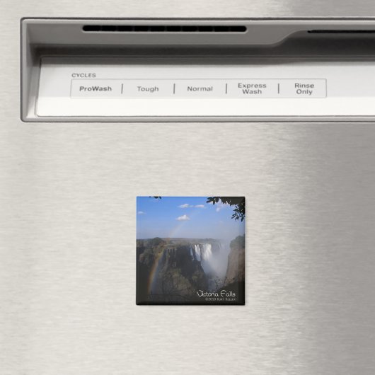 Victoria Fall 1 Magnet (In Situ (Geschirrspüler))