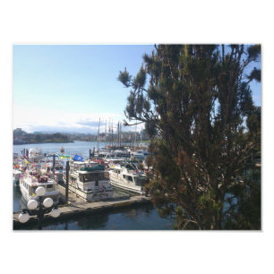 Victoria-Hafen Fotodruck