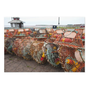 Victoria, Prince Edward Island. Krabbenköder Fotodruck