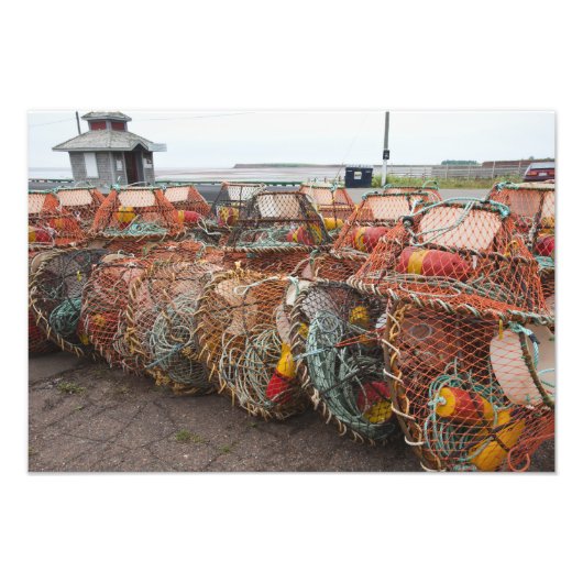 Victoria, Prinz Edward Island. Krabben Fotodruck (Vorne)