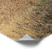 Victoria’s Bay of Islands Coastal Panorama Poster (Ecke)