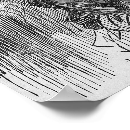 Victoria Woodhull Poster (Ecke)