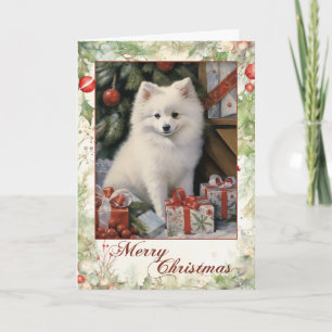 Victorian American Eskimo Welpen Weihnachten