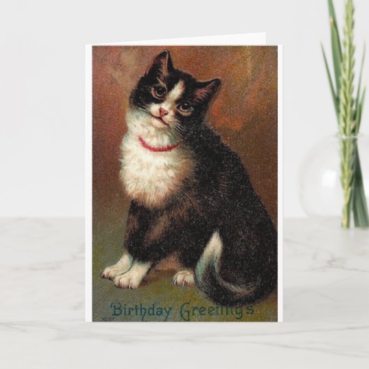 Victorian Black And White Cat Birthday Card Karte (Vorderseite)