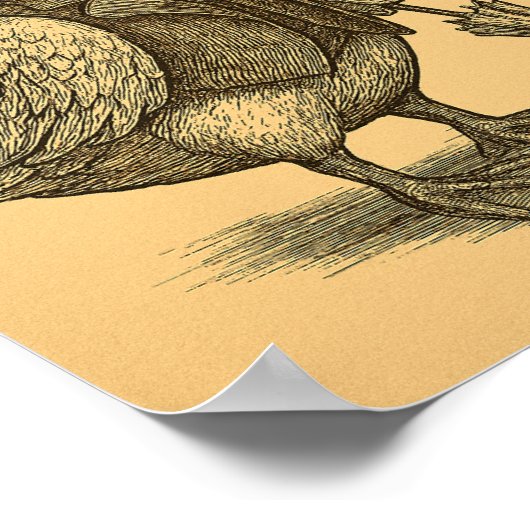 Victorian Duck with Umbrella Poster (Ecke)