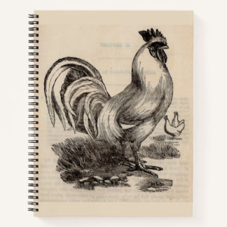 Victorian print white Dorking rooster Notizblock