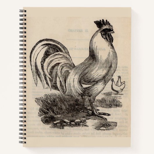 Victorian print white Dorking rooster Notizblock (Vorderseite)