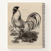 Victorian print white Dorking rooster Notizblock (Rückseite)