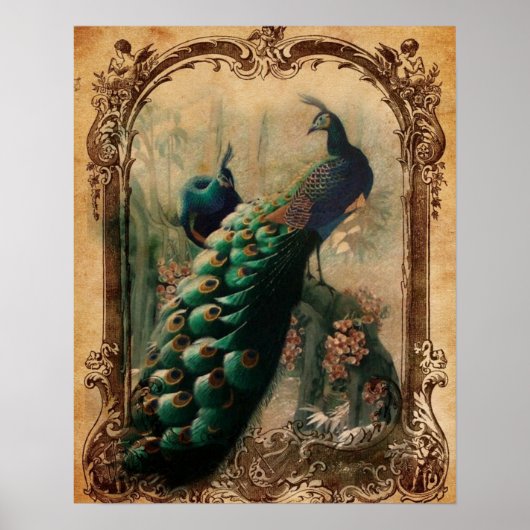 victorianischer vintage-blumen-pariser Pfau Poster (Vorne)