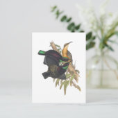 Victoria's Rifle Bird Postkarte (Stehend Vorderseite)