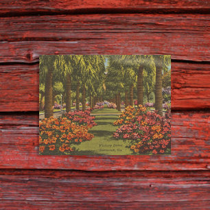 Victory Dr Azaleas Palmen Savannah GA Retro Postkarte