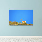 Vicuña blau leinwanddruck (Insitu (Holzboden))