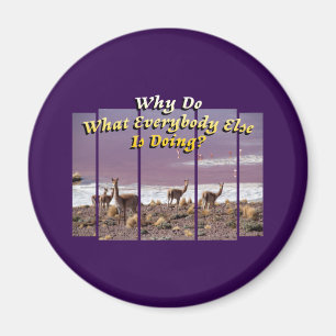 Vicuña Guanaco Lover - Reisekostkatalog Magnet