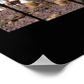 Vicuña Guanaco Lover - Reisekostkatalog Poster (Ecke)