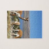 Vicuna in hochwacher Lauca-Nationalpark Puzzle (Horizontal)