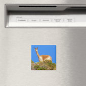 Vicuña Magnet (In Situ (Geschirrspüler))