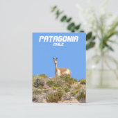 Vicuna Patagonia, Chile Postcard - Vertikal Postkarte (Stehend Vorderseite)