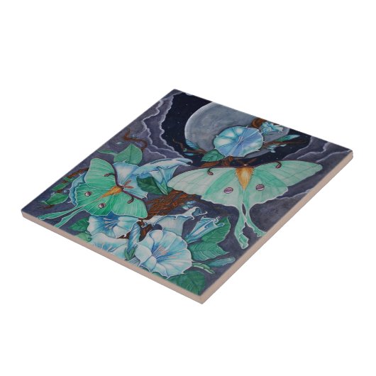 Vida de la Luna Fliese (Seite)