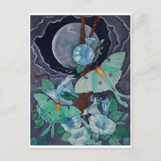 Vida de la Luna Postkarte